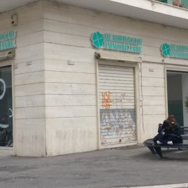 Insegne a Lettere in Plastica 1