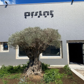 Insegne a Lettere in Lamiera 1