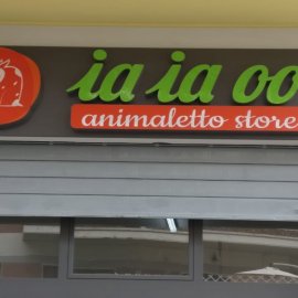 Insegne a Lettere in Plastica 1